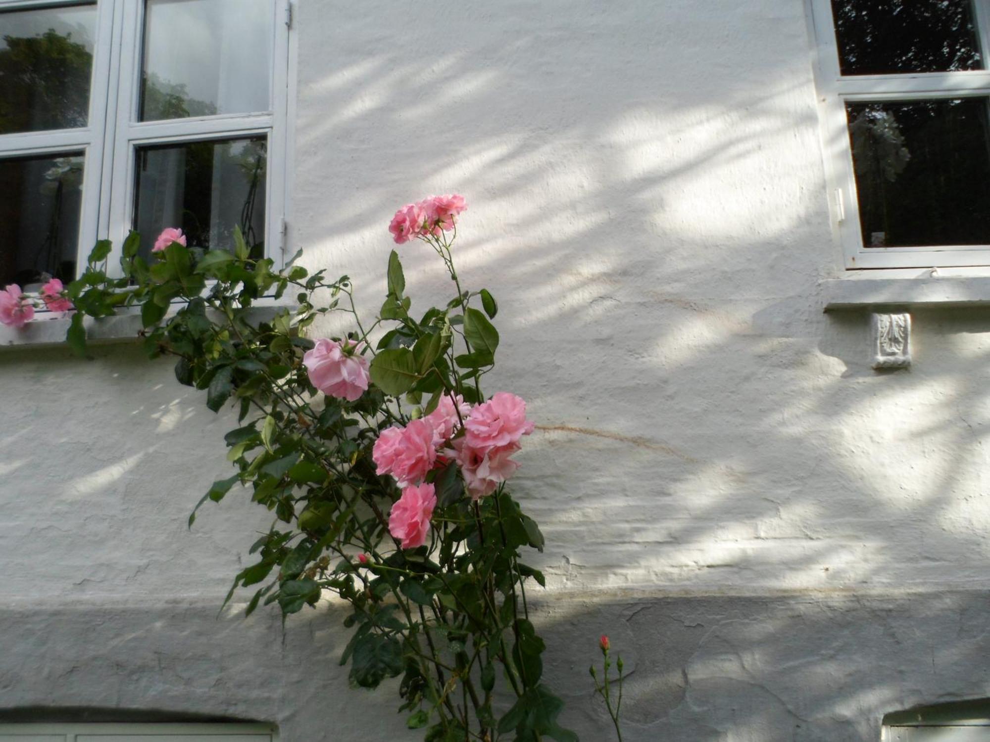 Boiesminde Apartment Vamdrup Exterior photo